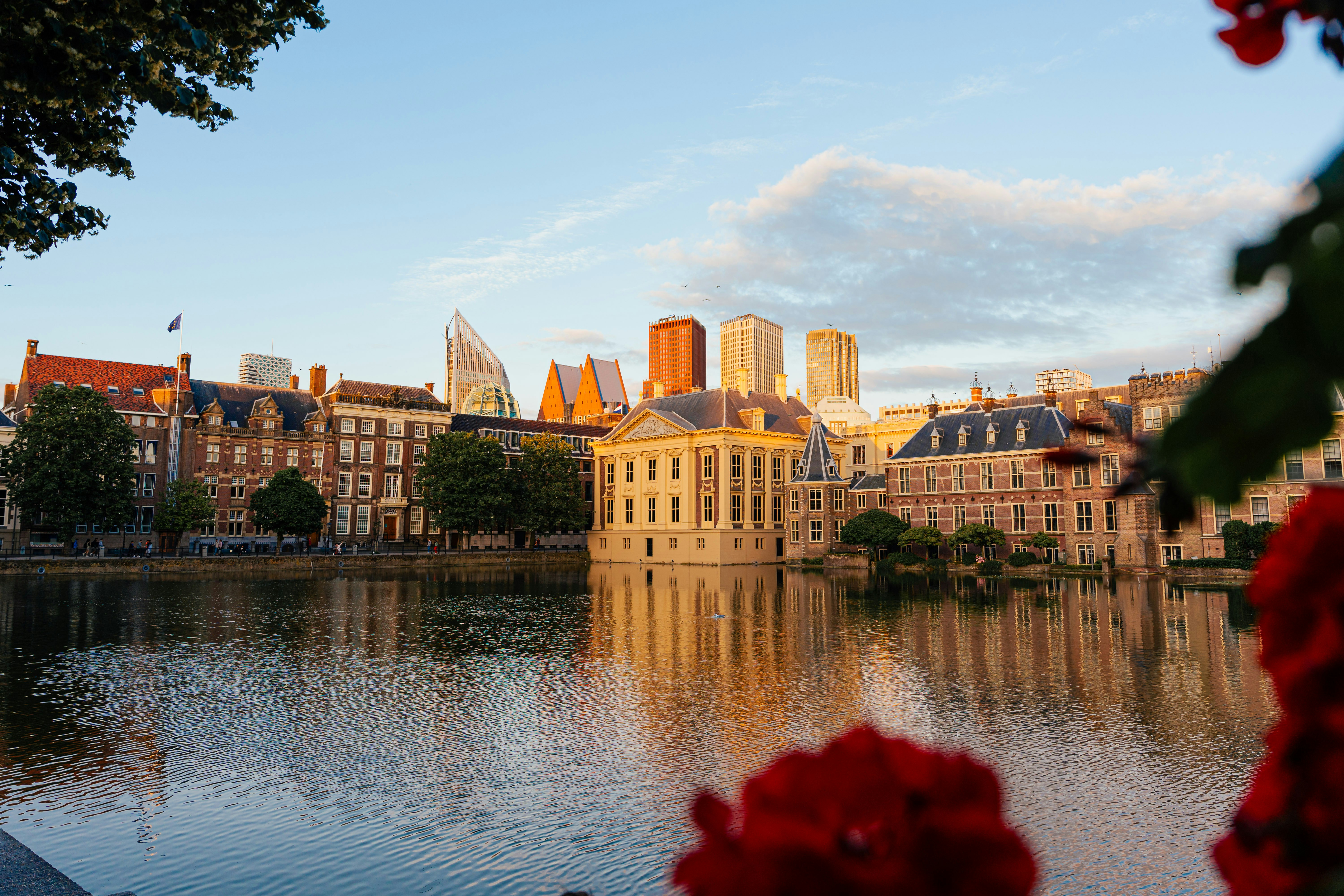 Projectondersteuner participatie Energietransitie Gemeente Den Haag